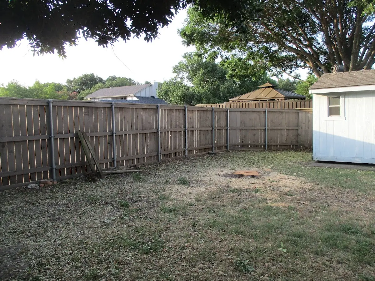 Cleared yard after professional tree removal in Gridley